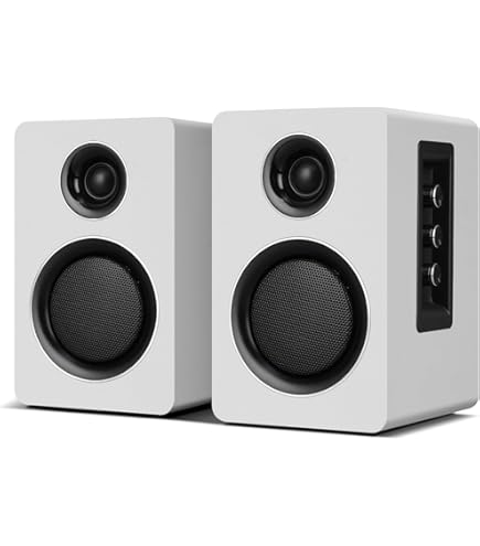 Amazon.com: Sanyun SW208 3